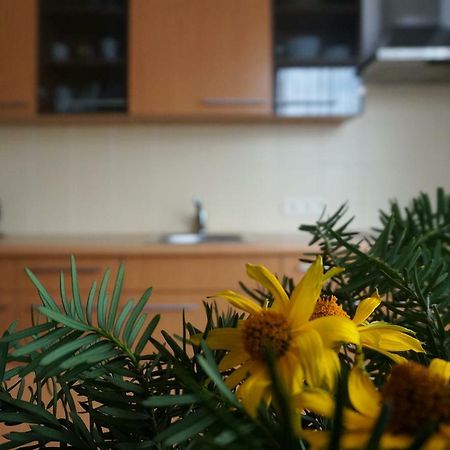 Green House Palanga Dış mekan fotoğraf